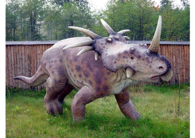 Photo styracosaurus