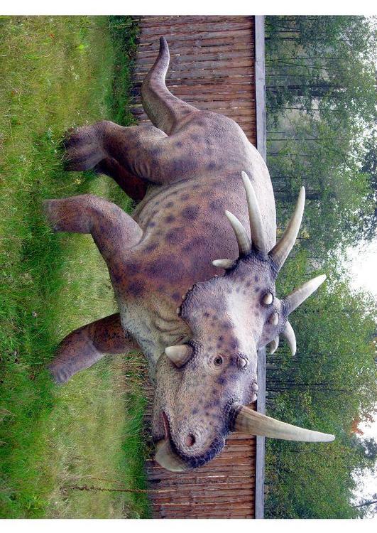 styracosaurus