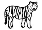 Coloriage tigre debout