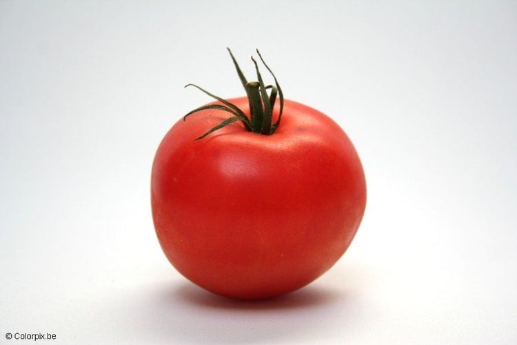Photo tomate