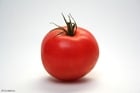 Photos tomate