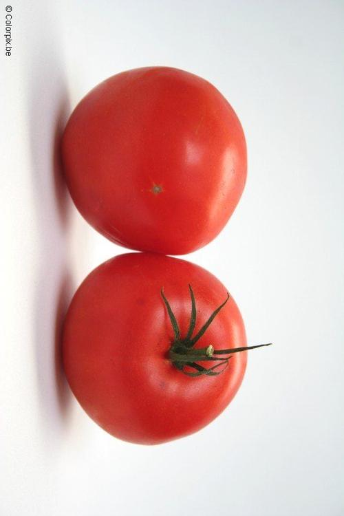 tomates