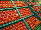 Photos tomates