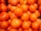Photo tomates